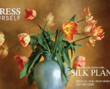 Silk Plants Plus